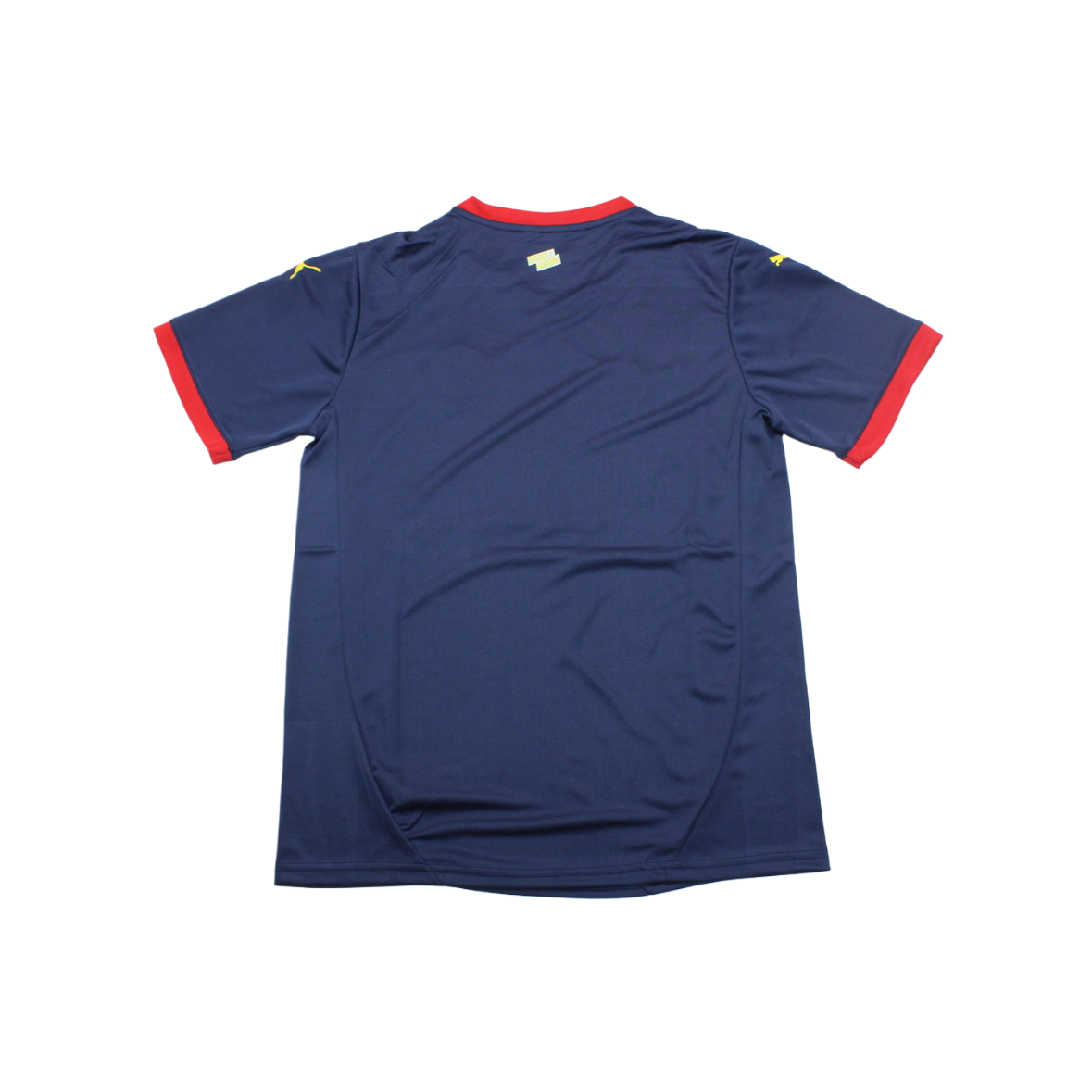 Camiseta Girona 24/25