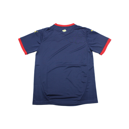 Camiseta Girona 24/25