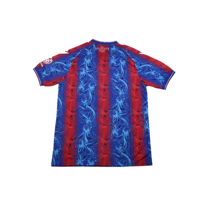 Camiseta Crystal Palace 24/25