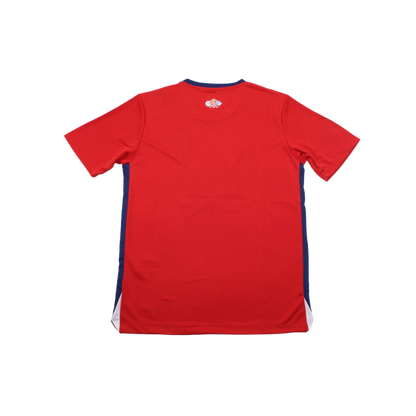Camiseta Lille 24/25