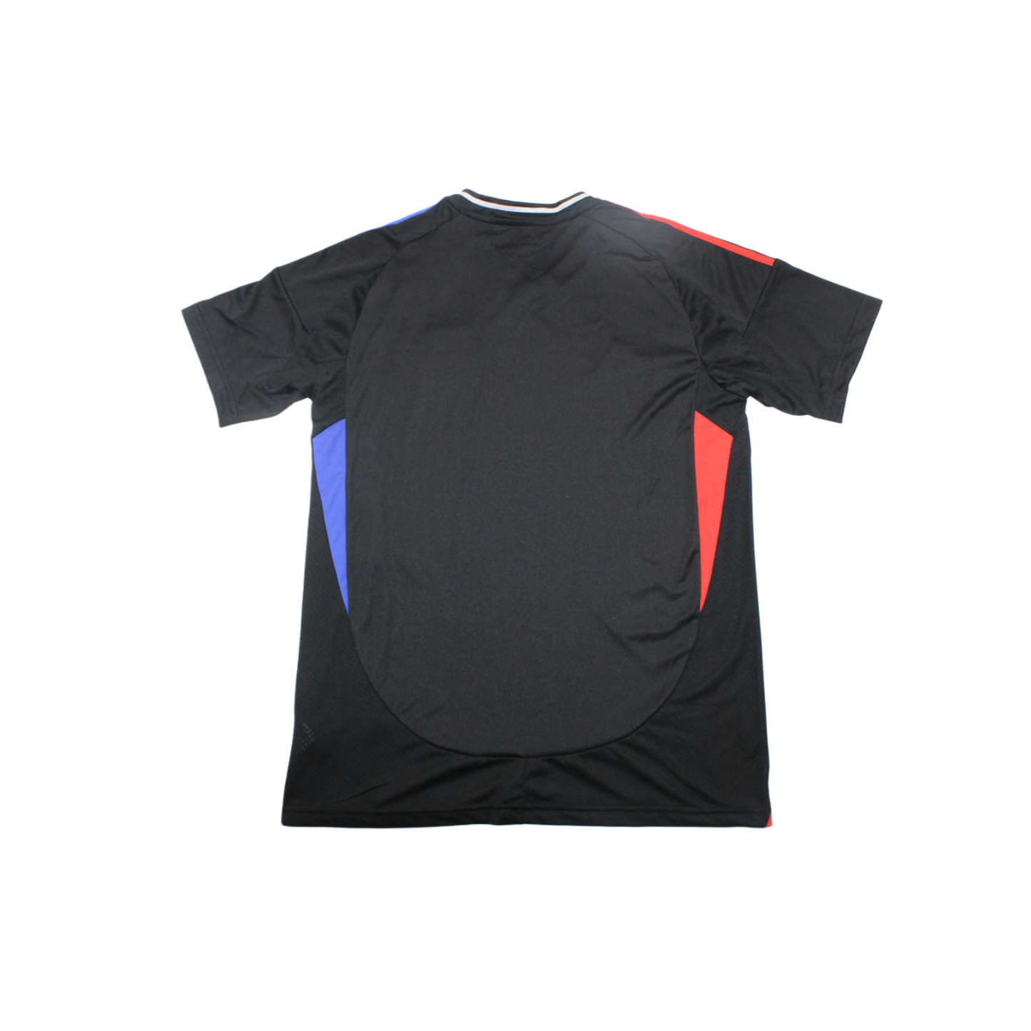 Camiseta Olympique Lyon 24/25