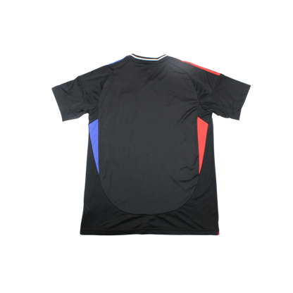Camiseta Olympique Lyon 24/25
