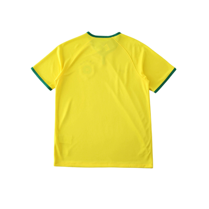 Brasil 14/15